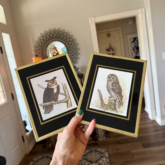 1971 Reverse paint Owl pictures - Picture 9 of 14